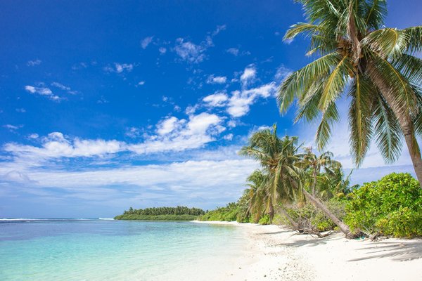 Quels sont les avantages de louer une maison de vacances en Suisse avec des cours de fondue et des randonnées en montagne?